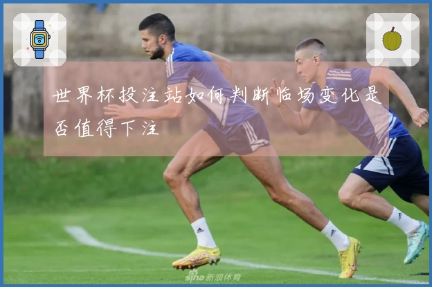 世界杯投注站如何判断临场变化是否值得下注