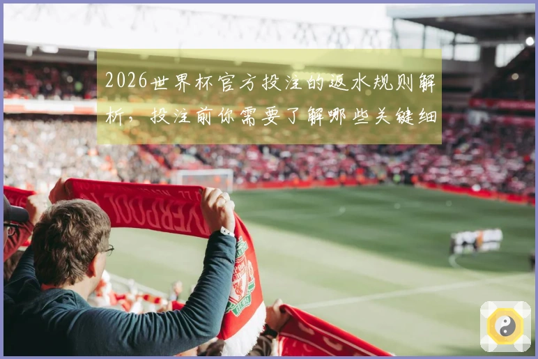 2026世界杯官方投注的返水规则解析，投注前你需要了解哪些关键细节？