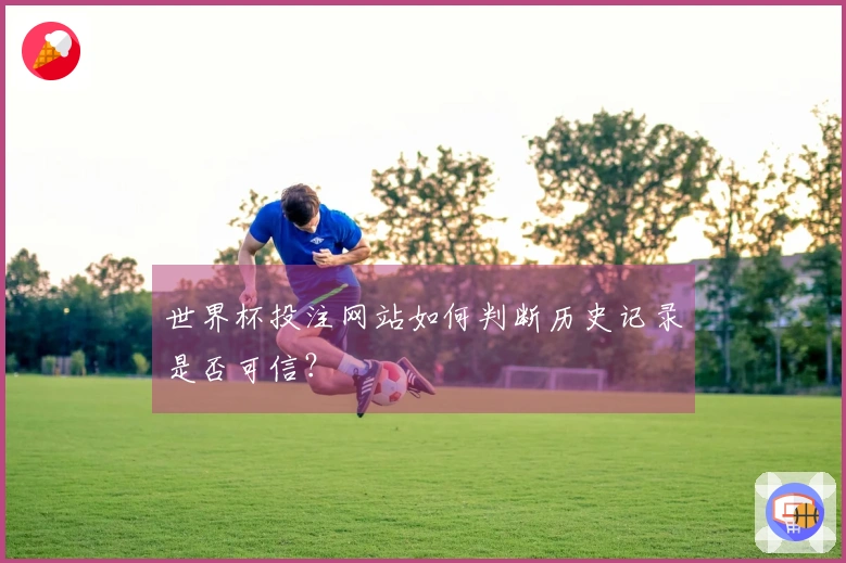 世界杯投注网站如何判断历史记录是否可信？