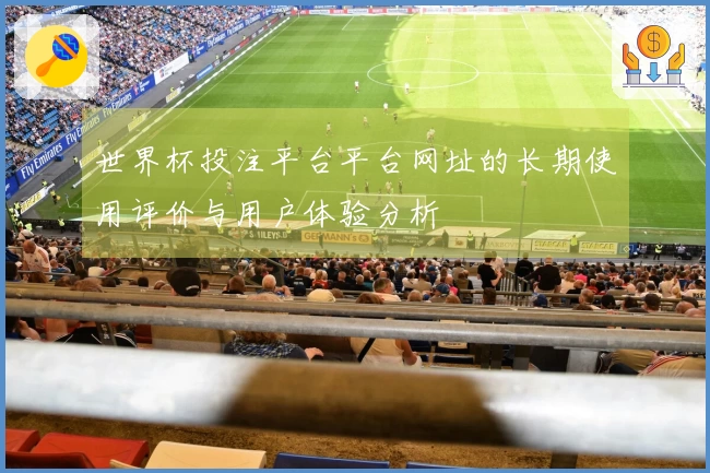世界杯投注平台平台网址的长期使用评价与用户体验分析