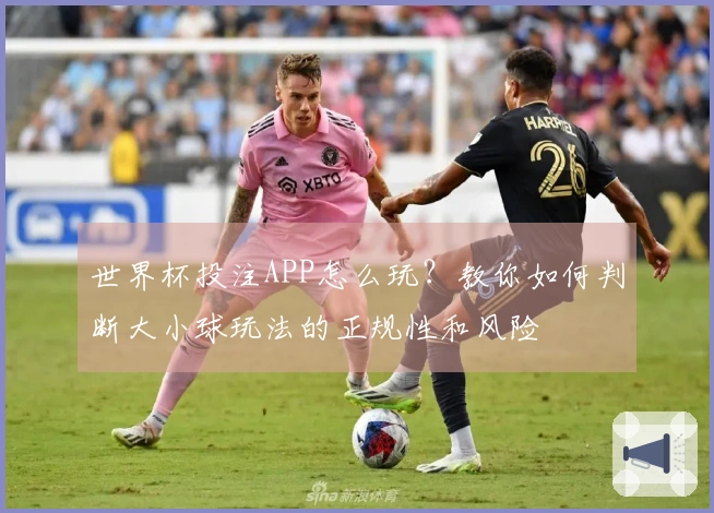 世界杯投注APP怎么玩？教你如何判断大小球玩法的正规性和风险
