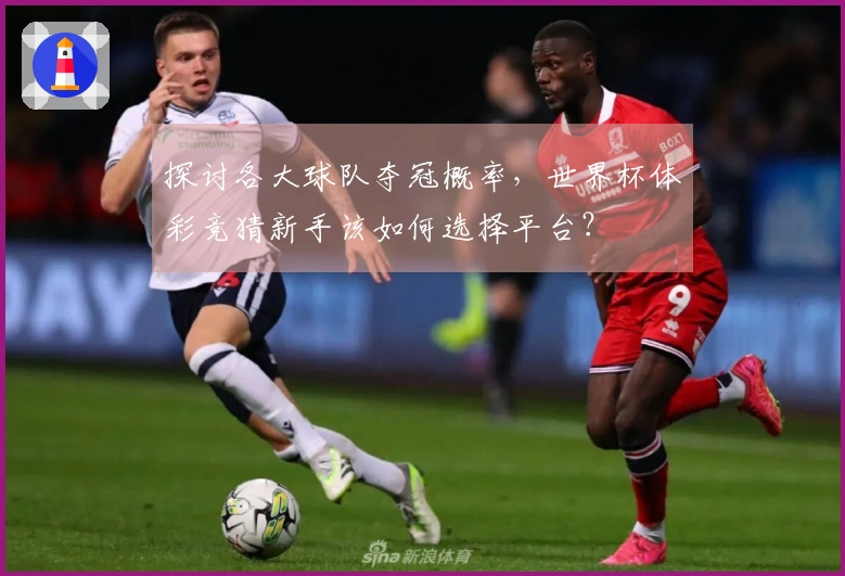 探讨各大球队夺冠概率，世界杯体彩竞猜新手该如何选择平台？